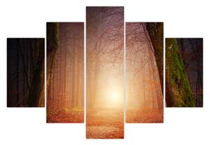 Őszi erdő képe a ködben (150x105 cm)