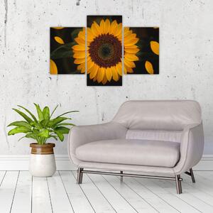 Kép - Napraforgók és a virágszirmok (90x60 cm)
