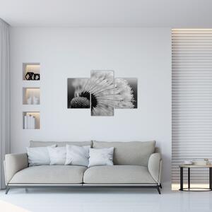 Pitypang képe - fekete fehér (90x60 cm)