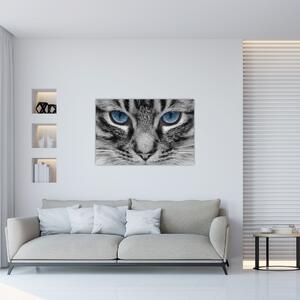 Macska képe (90x60 cm)