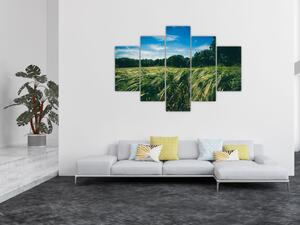 Rét és az erdő képe (150x105 cm)