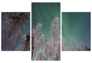 Az aurora borealis képe fagyos fák felett (90x60 cm)