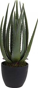 Műnövény Aloe Vera 45cm 317220190