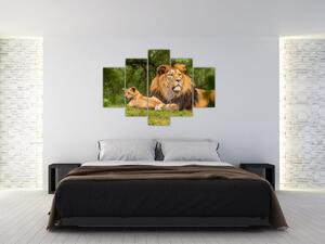 Oroszlánok képe (150x105 cm)