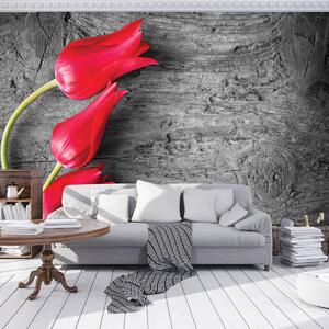Fotótapéta - Piros tulipán (152,5x104 cm)