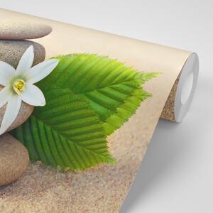 Öntapadó fotótapéta fehér virág és kövek a homokban