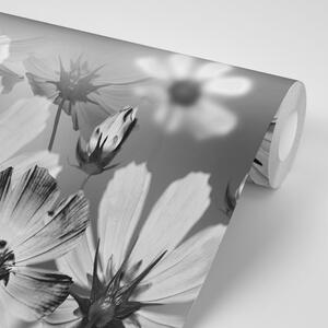 Öntapadó tapéta virágok fekete fehérben