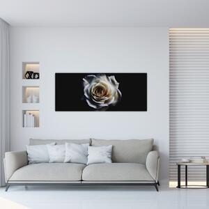 Fehér rózsa képe (120x50 cm)