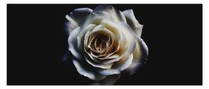 Fehér rózsa képe (120x50 cm)