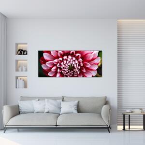 Rózsaszín dália képe (120x50 cm)