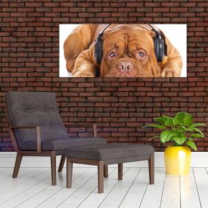 Kép egy kutya fejhallgatóval (120x50 cm)