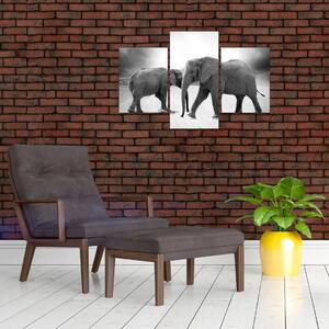 Kép - fekete fehér elefántok (90x60 cm)