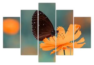 Kép - pillangó narancssárga virágon (150x105 cm)
