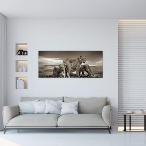 Fekete fehér tigris képe (120x50 cm)