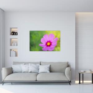 Kép - réti virág (90x60 cm)