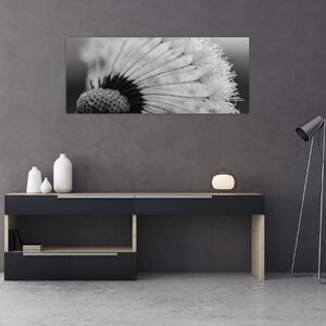Pitypang képe - fekete fehér (120x50 cm)