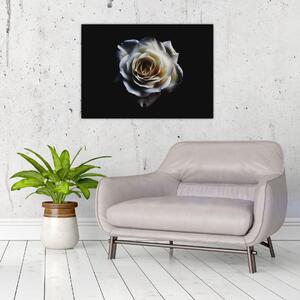 Fehér rózsa képe (70x50 cm)