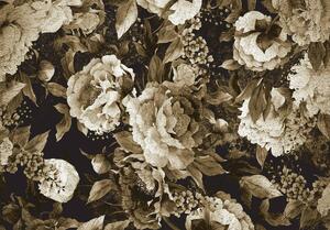 Fotótapéta - Bazsarózsa virágok (152,5x104 cm)