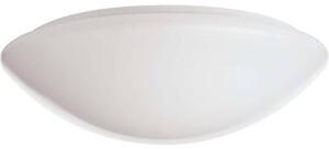 RIDI (420784) (420784) LED-es mennyezeti lámpa LED Fehér