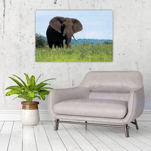 Egy elefánt képe (90x60 cm)