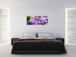 Részletes virágkép (120x50 cm)