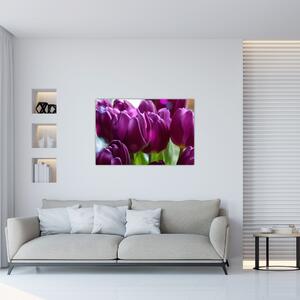 Tulipán képe (90x60 cm)