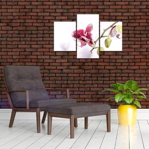 Orchidea virág képe (90x60 cm)