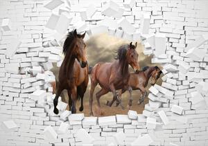 Fotótapéta - 3D lovak a falban (152,5x104 cm)
