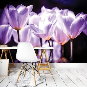 Fotótapéta - Virágok - lila árnyalat (152,5x104 cm)