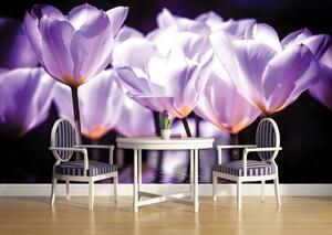 Fotótapéta - Virágok - lila árnyalat (152,5x104 cm)