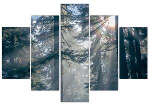 Fák képe a ragyogó nappal (150x105 cm)
