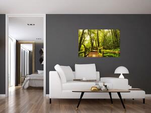 Mohás dzsungel képe (90x60 cm)