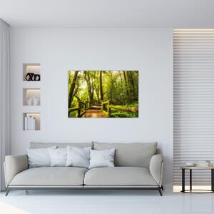Mohás dzsungel képe (90x60 cm)