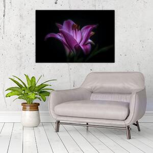 A liliom képe (90x60 cm)