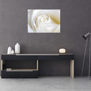 Egy fehér rózsa képe (70x50 cm)
