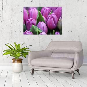 Kép - tulipánok (70x50 cm)