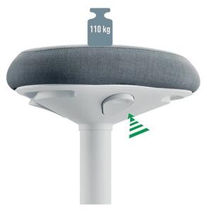 Esselte Leitz Ergo Active Irodai szék - Szürke