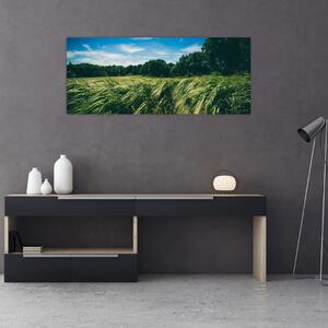 Rét és az erdő képe (120x50 cm)