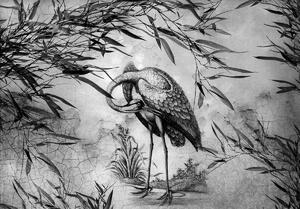 Fotótapéta - Fekete-fehér daru (152,5x104 cm)