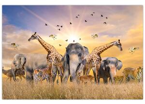 Kép - Afrikai állatok (90x60 cm)
