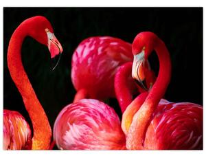 Vörös flamingók képe (70x50 cm)