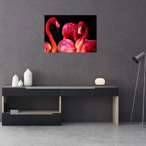 Vörös flamingók képe (70x50 cm)