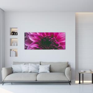 Rózsaszín virág képe (120x50 cm)