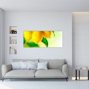 A citrom képe (120x50 cm)
