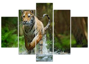 Futó tigris képe (150x105 cm)