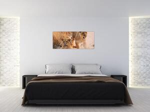 Egy oroszlán képe (120x50 cm)