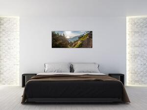 Kép - Olimpusi hegy (120x50 cm)
