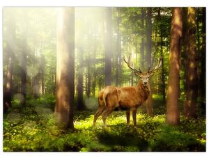 Kép egy szarvas az erdőben (70x50 cm)