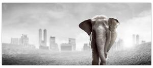 Kép -Elefánt egy nagyvárosban, fekete-fehér változat (120x50 cm)