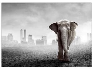 Kép -Elefánt egy nagyvárosban, fekete-fehér változat (70x50 cm)